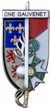 Promotion Capitaine Gauvenet
